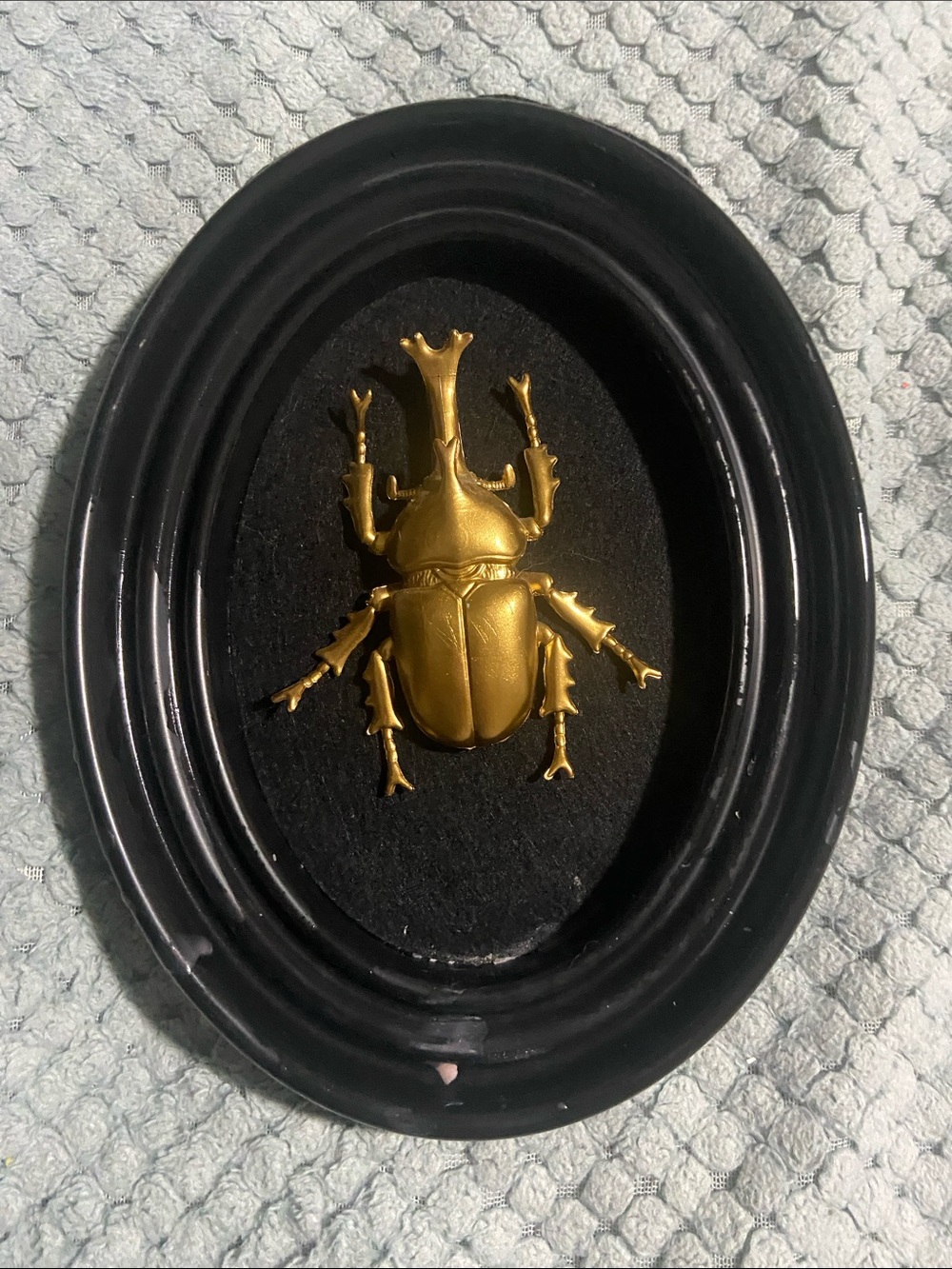 Gold Beetle Wall Art in Black Oval Frame